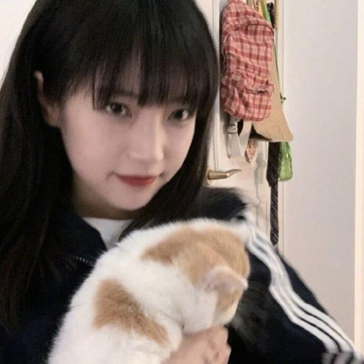 青木崇高（饰 相乐左之助） - 少儿动画片免费在线观看 - APP看剧